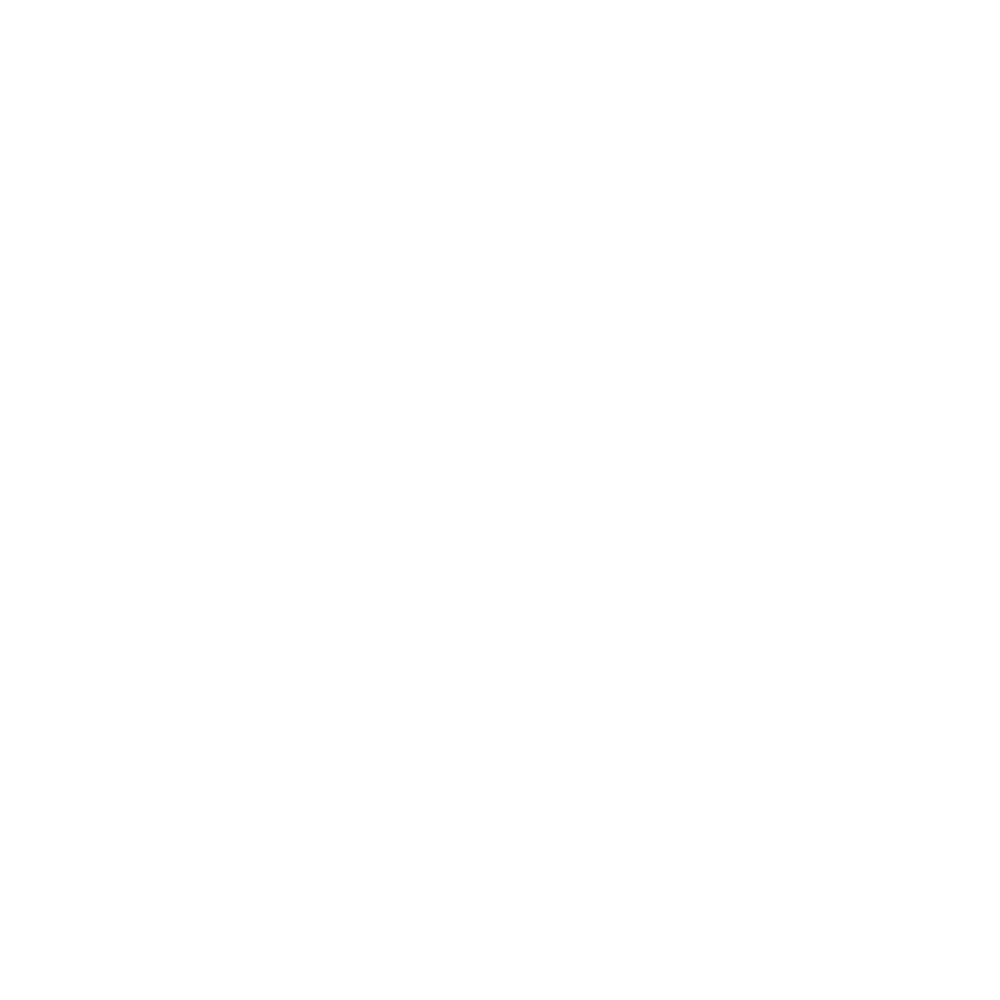 shaman-workshop