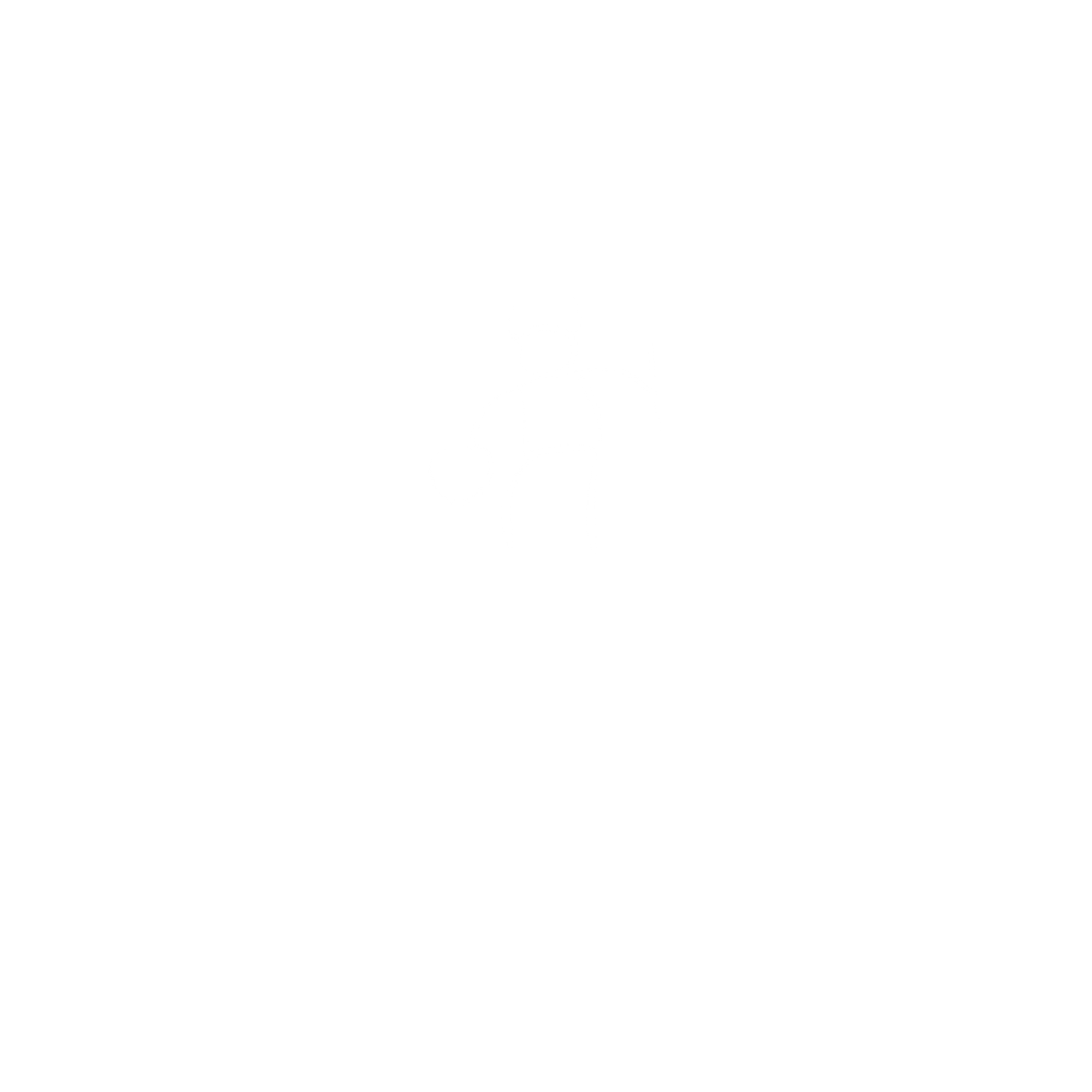 shaman-workshop shaman-workshop